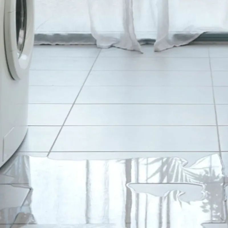 Appliance Leak Cleanup in Freestone County, TX