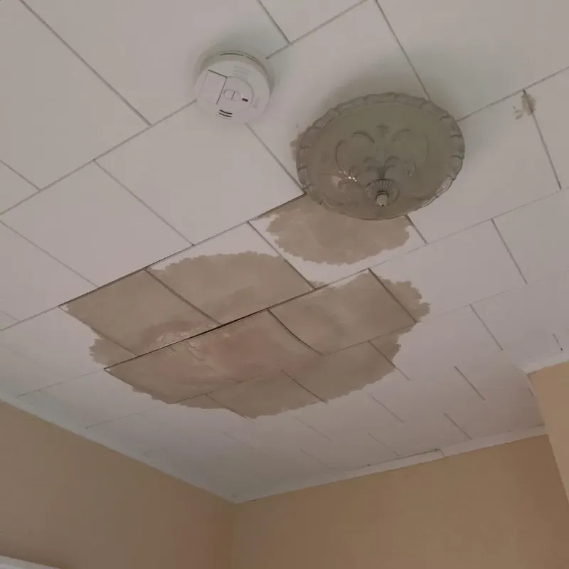 Ceiling Water Damage Repair in Freestone County, TX