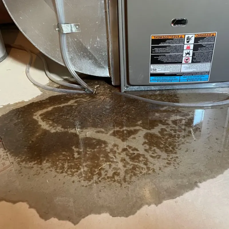 Pipe Burst and Leak Restoration in Freestone County, TX