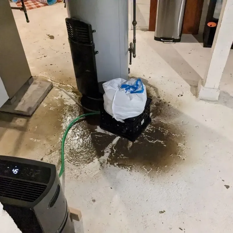 Sewage Backup Cleanup Service in Freestone County, TX